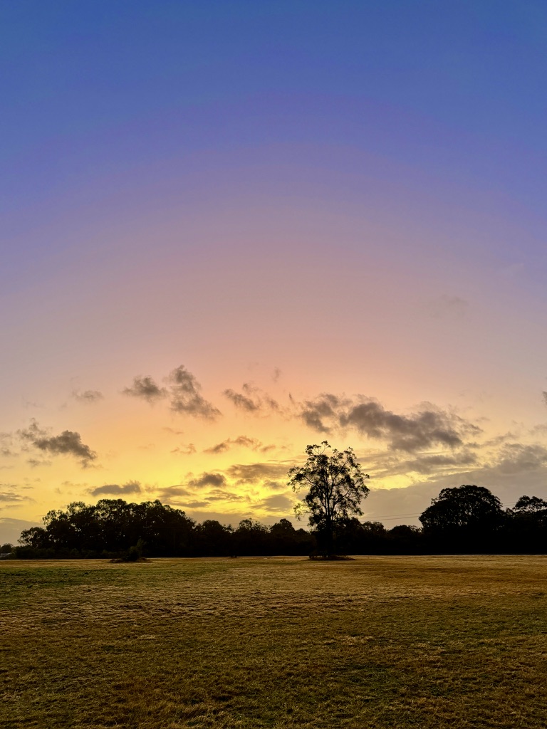 Golden sunset over a flat paddock in the Hunter Valley, silhouetted trees on the horizon